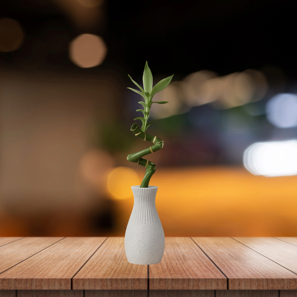 tallo vase tallo vase